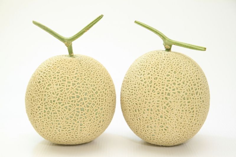 dưa lưới cuống chữ t